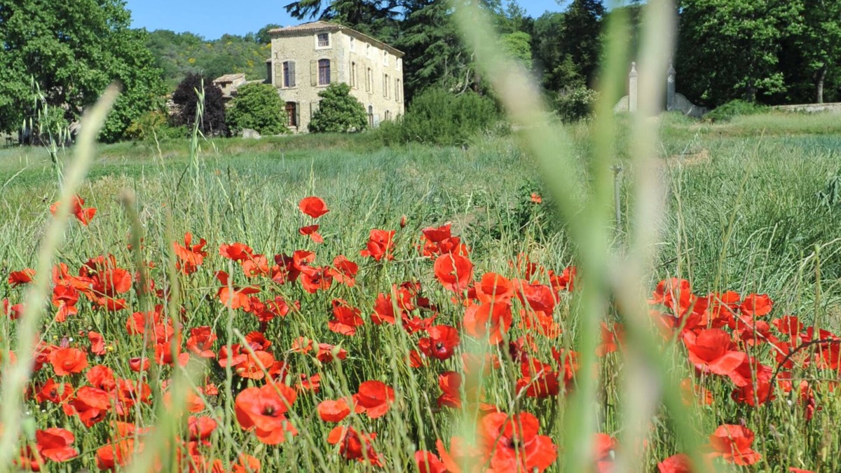 Manosque Bed & Breakfast | Bastide de l'Adrech