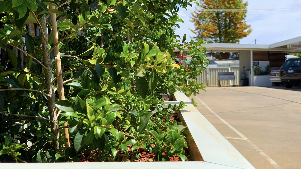Moree Hotel | Baths Motel