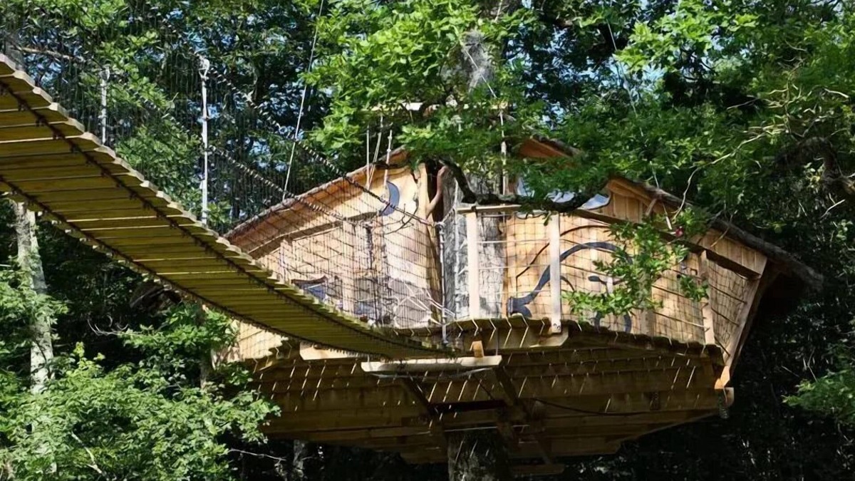 Dienne Cabin | Baumhaus 2 Personen