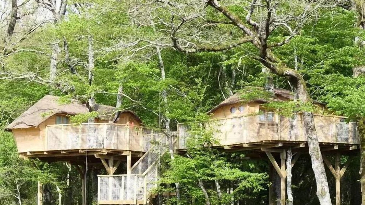 Dienne Cabin | Baumhaus 4 Personen