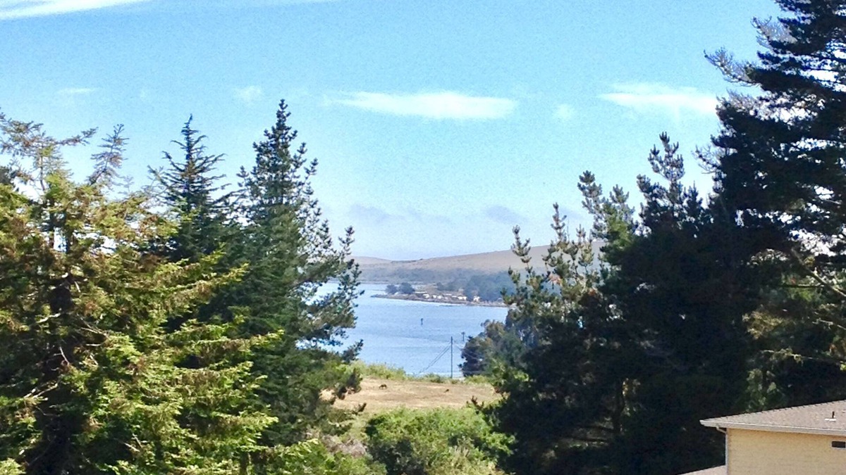 Bodega Bay House | BAY CANYON VIEW-CHARMING SINGLE LEVEL HOME- FENCED YARD + SPA-NEAR EVERYTHING!