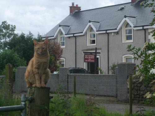 Boardmills Bed & Breakfast | Bay Cottage Bed & Breakfast