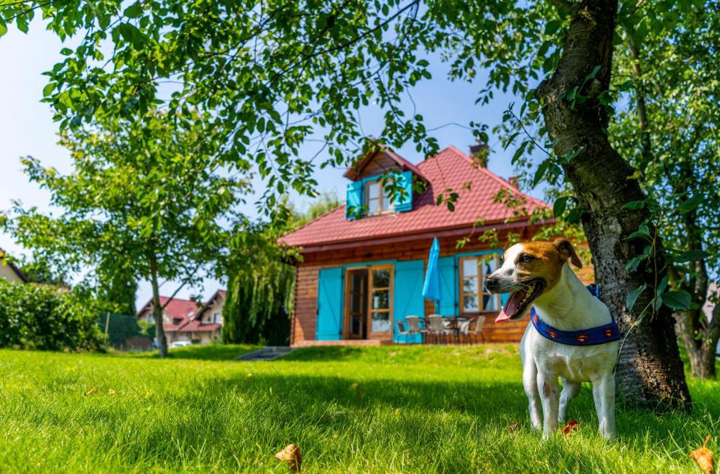 Puck House | Bay House Puck