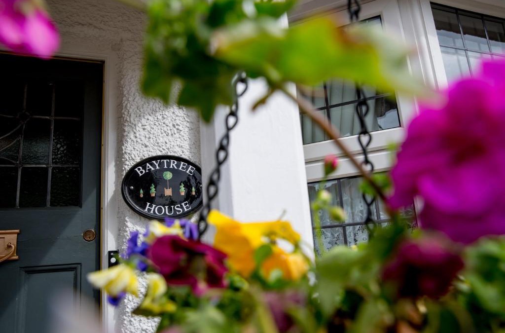 Arnos Grove Bed & Breakfast | Bay Tree House Bed & Breakfast