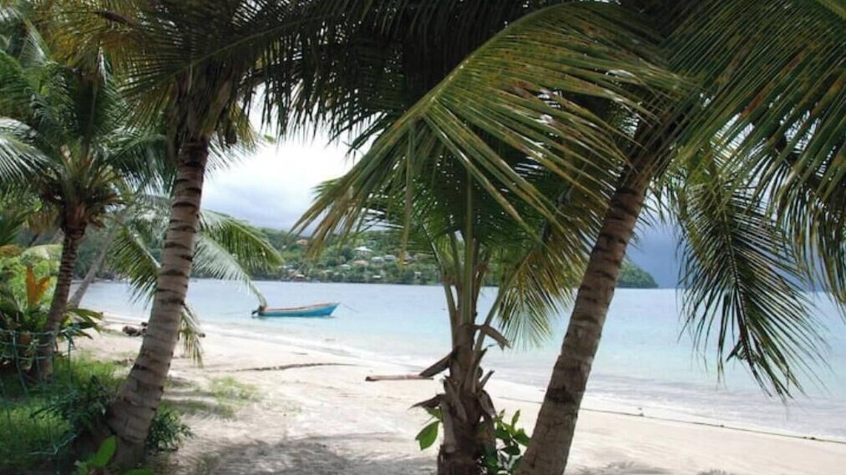 Vieux Fort House | Bay Treehouse