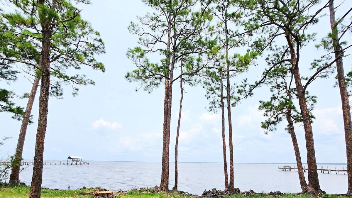 Eastpoint House | Bayfront Home just minutes from St. George Island! Sleeps 8! Private Estate!