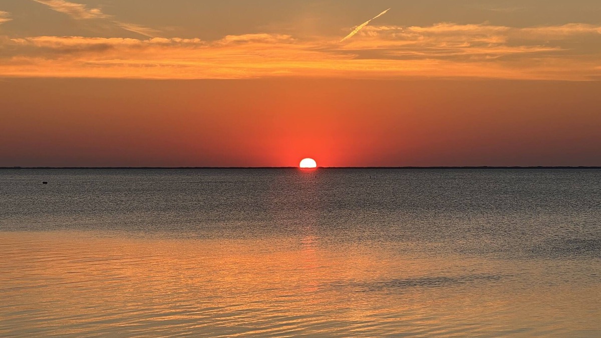 Waretown House | Bayfront Oasis, Magnificent Views, Kayaking/Fishing/Clamming, Wild Lives