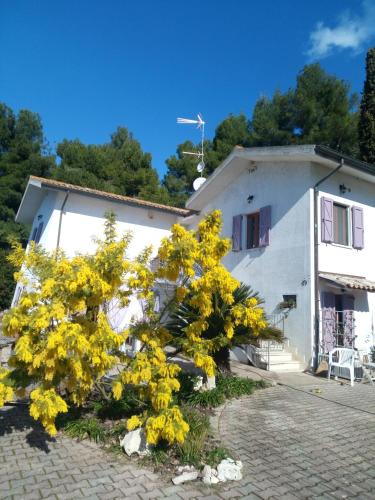 Villa Musone Bed & Breakfast | bb delcondotto
