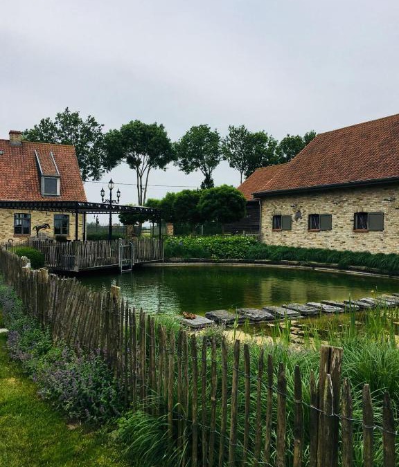 Oudekapelle Bed & Breakfast | BB-hof ter boone