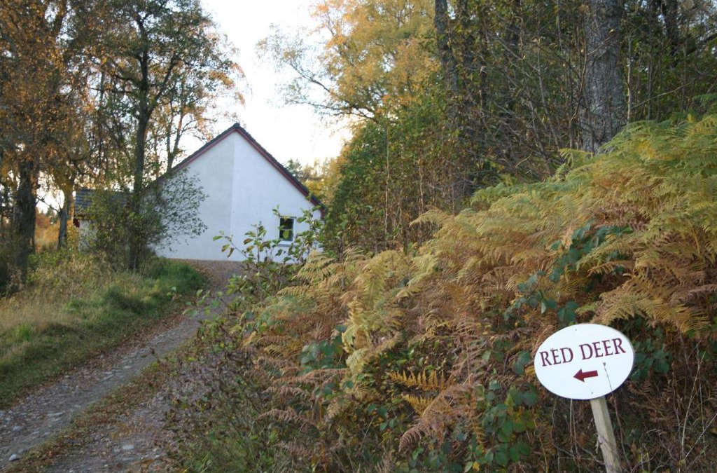 Glen Urquhart House | BCC Loch Ness Cottages