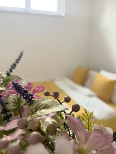 Sombor Apartment | Be POZITIVE