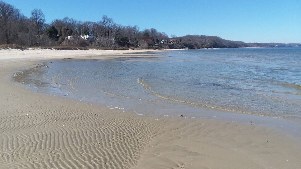 Calvert Beach-Long Beach House | Beach Access Cozy Cedar Cottage & Autumn Getaway