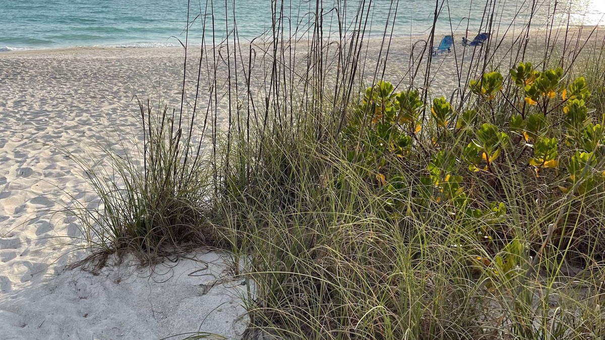 Whitney Beach House | Beach Cottage with a Private Hot Tub
