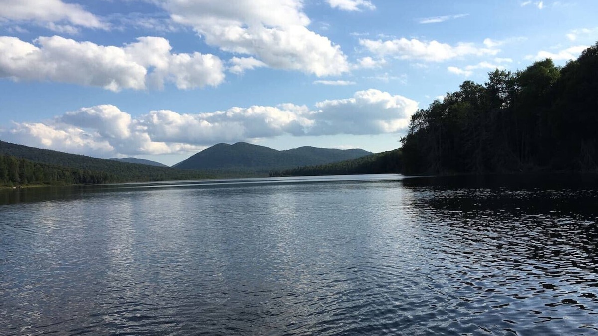 Indian Lake Cabin | Beach - Family & Pet Friendly - Adirondack Cabin