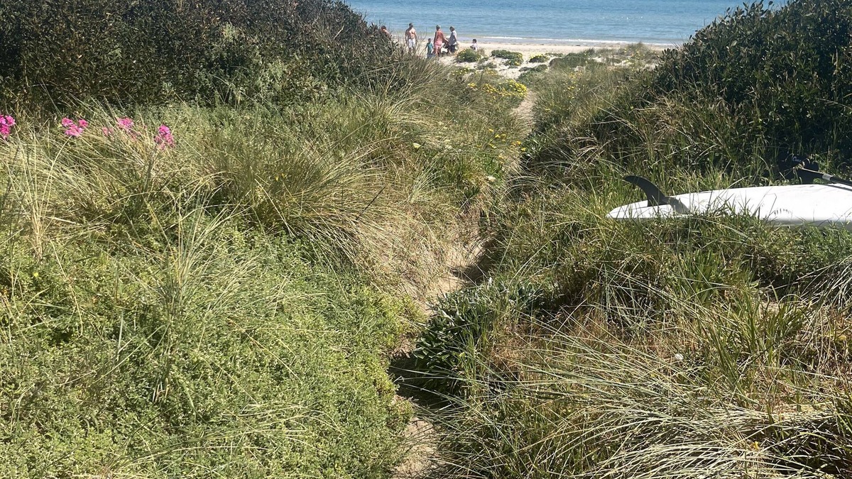 Aspendale Apartment | Beach Front Apartment