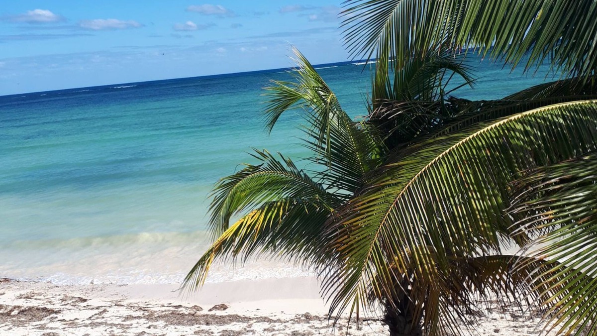 Mahahual House | Beach front Bugalow.