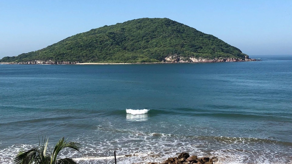 Zona Dorada Condo | Beach Front Condo.