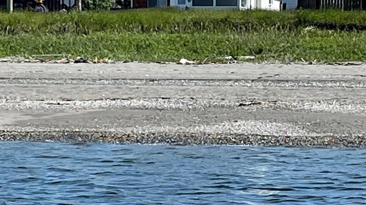 Cap-Chat House | Beach front quality house, open year round, Cap- Chat, Gaspesie, fishing, kayak,