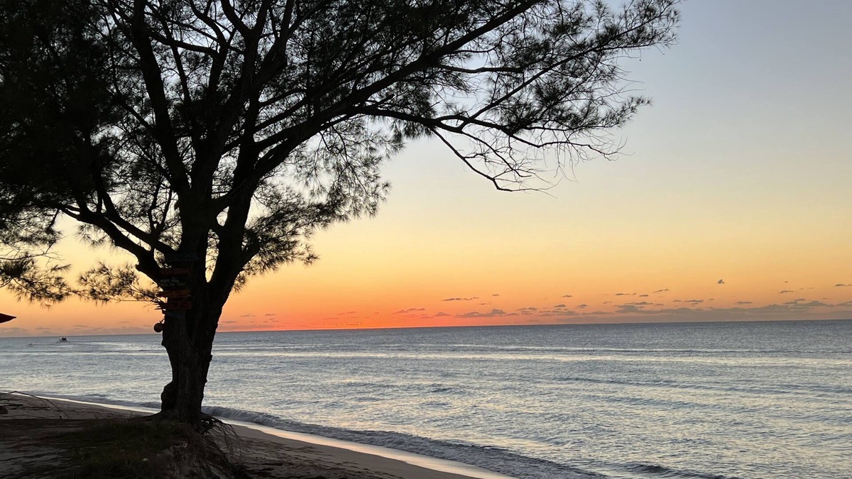 Alice Town House | Beach front vacation rental - perfect for families!