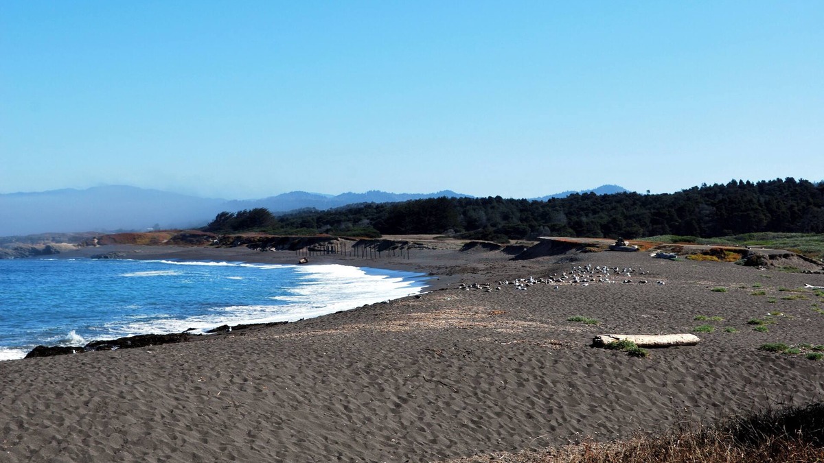 Cleone House | Beach Haven - MacKerricher State Park nearby - Ocean View Home & Guest House