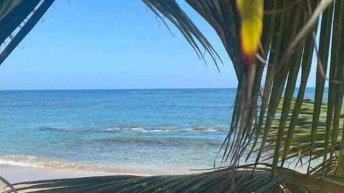 Nagua Apartment | Beach hotel , one mile of beach front hotel, bar , beach club/restaurant