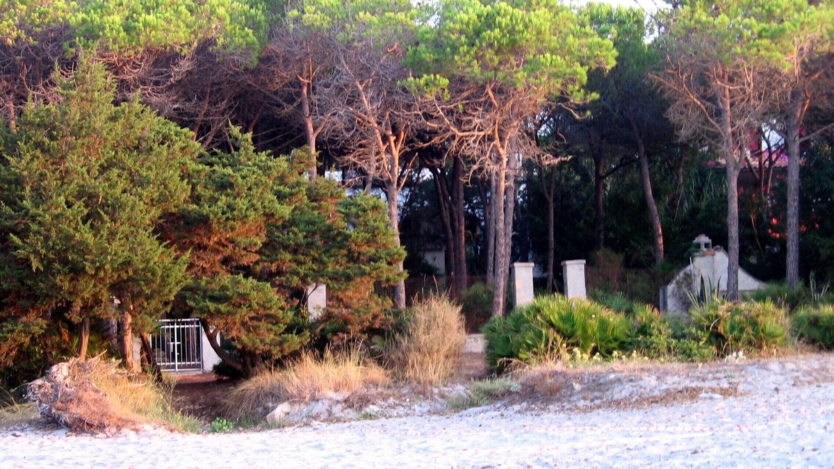 Cala Liberotto Apartment | Beach house in the pinewood with direct access to the beach in Sardinia