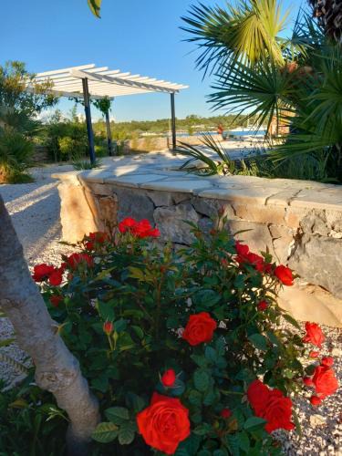 Municipality of Murter House | Beach House Marina Grande