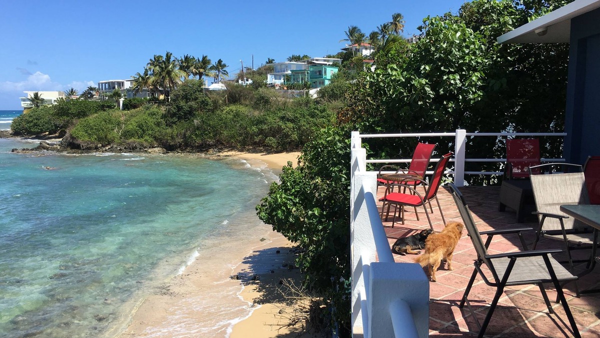 Bravos de Boston House | BEACH HOUSE W/POOL