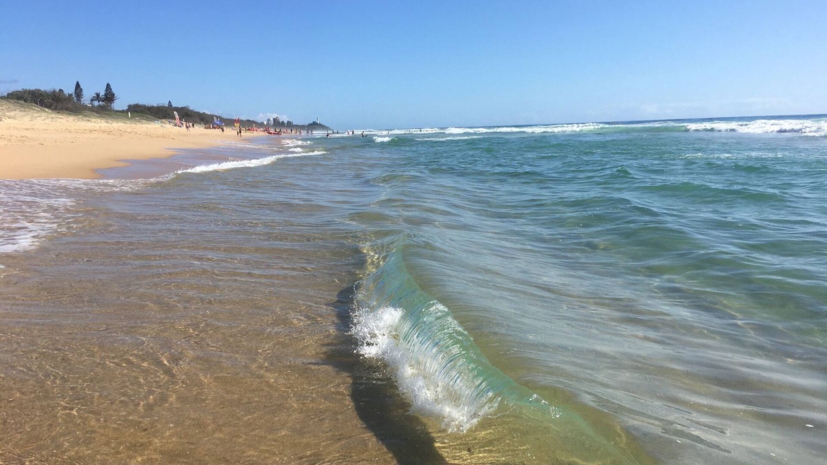 Buddina Apartment | BEACH Luxury Upmarket 2B 2B unit, OCEAN VIEWS! 250m to BUDDINA BEACH!