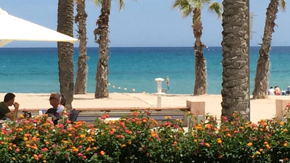 Playa de San Juan Apartment | Beach of San Juan Alicante, suitable swimming pool, wifi, A. C and parking