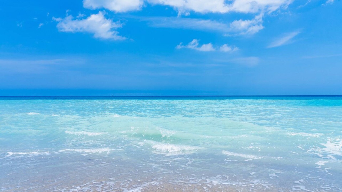 Floridana Beach House | Beach Paradise! New 3/2 home, dog friendly, overlooking wildlife refuge!
