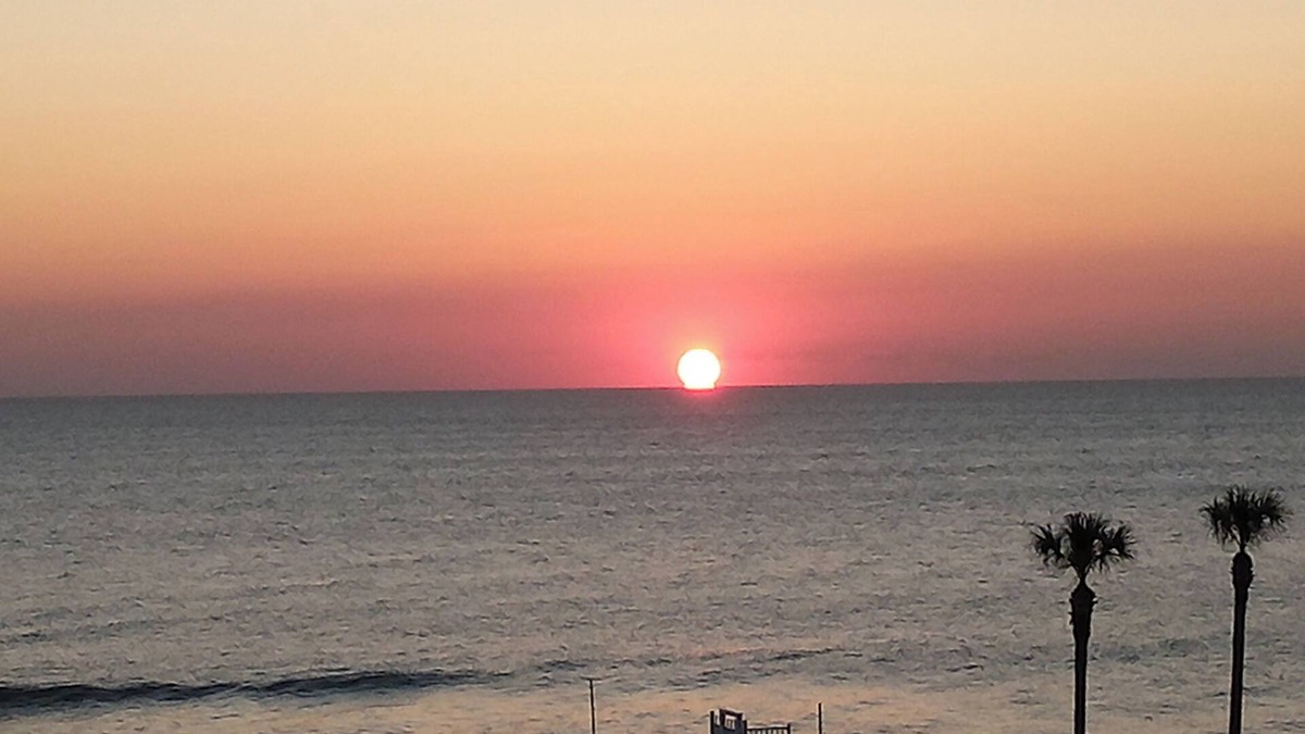 Daytona Beach Shores Condo | beach, pool, full kitchen and California king bed.