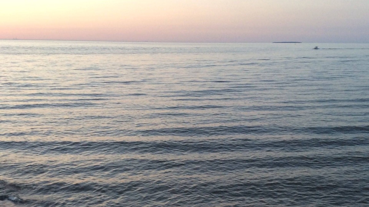 Oak Harbor Apartment | Beach View Retreat: Great for fishing, birders, family vacation, Davis B