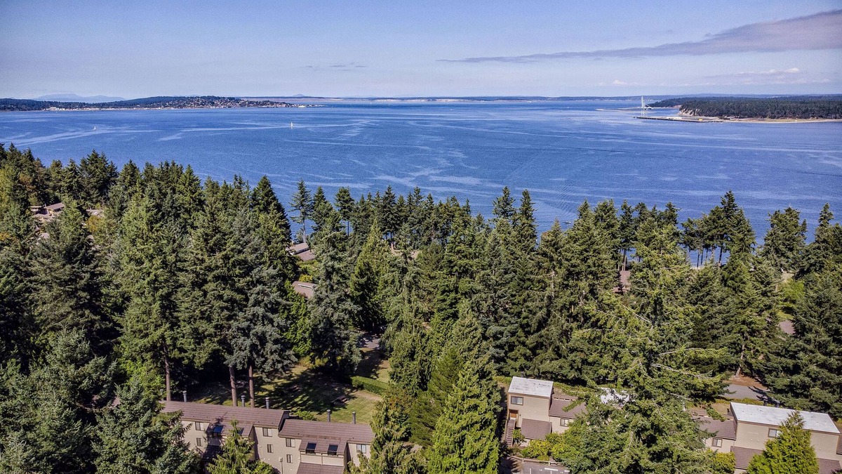 Adelma Beach Condo | Beachfront Area with Resort Pool, Sauna & Hot Tub.