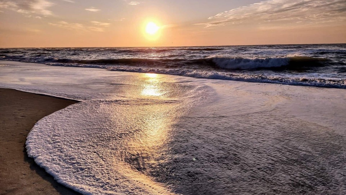North Carolina Coast Condo | “BEACHFRONT ELM” IS CALLINGn~Oceanfront~Private Beach Access~Pool~