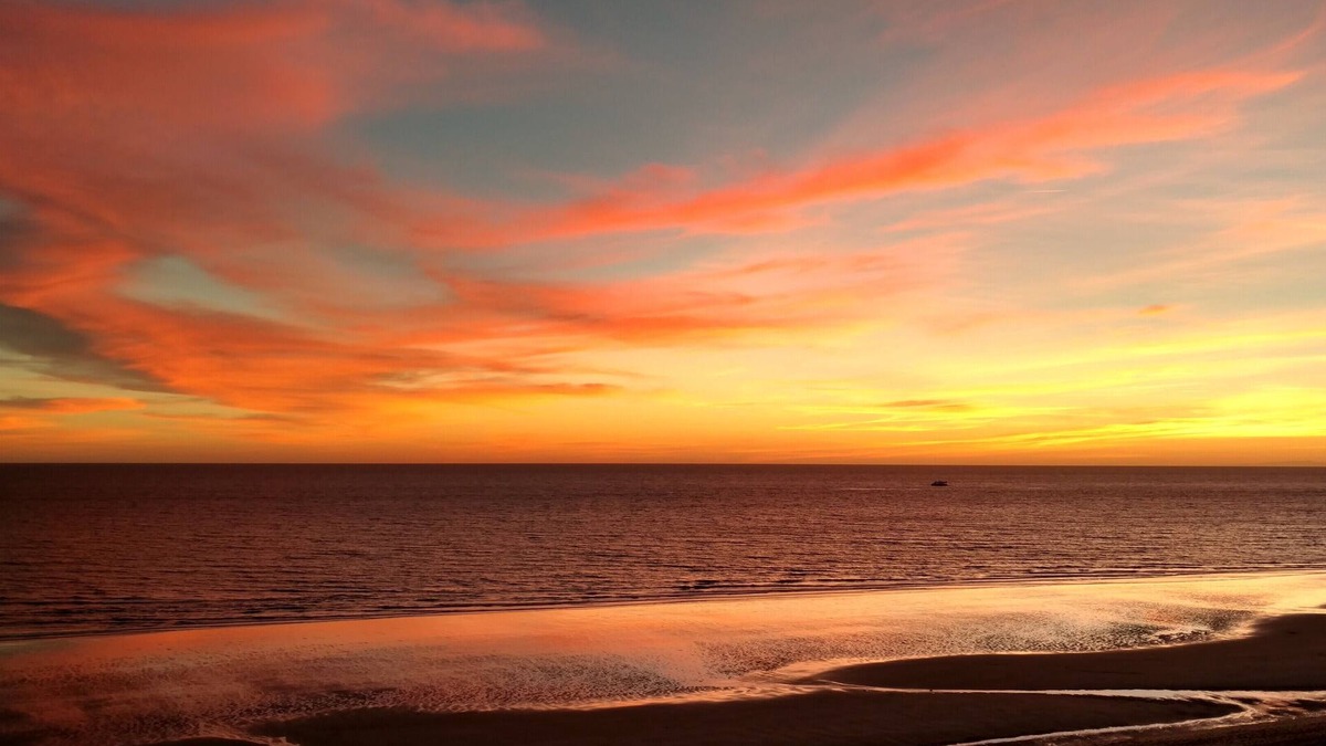 Bella Vista Condo | Beachfront Luxury Condominium, My Happy Place!