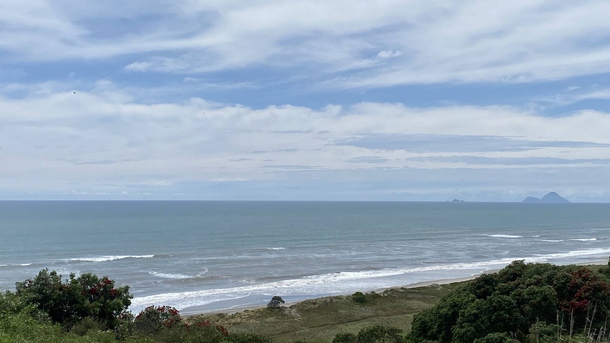 Bay of Plenty Region Apartment | Beachfront Pacific - Rustic Coastal - Guest Suite.
