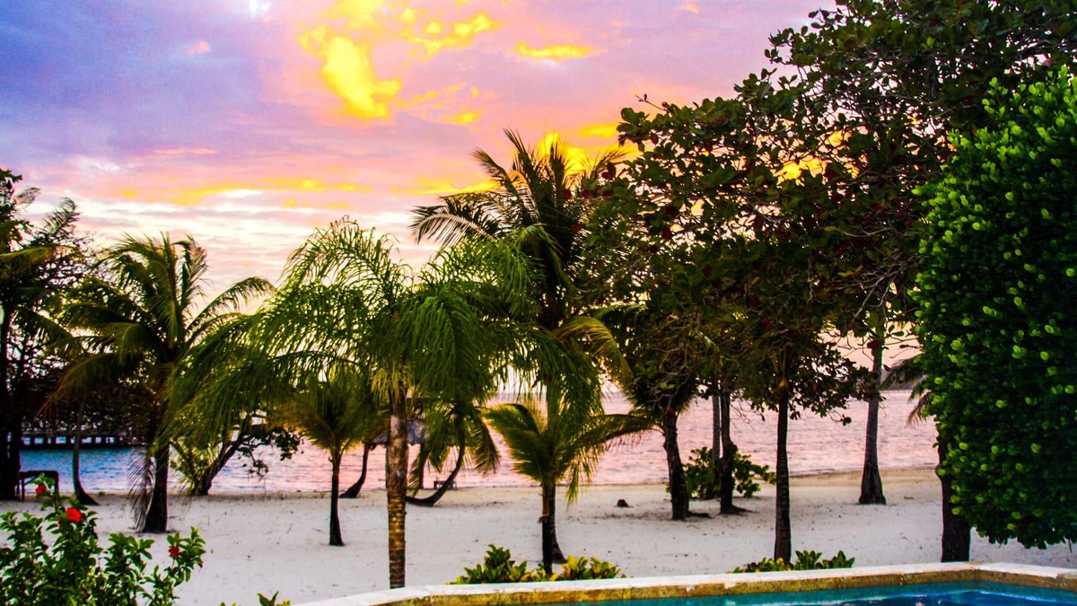 Palmetto Bay Villa | Beachfront, Private Pool, Bar & Restaurant, Dive Shop, Gated Beach Resort.