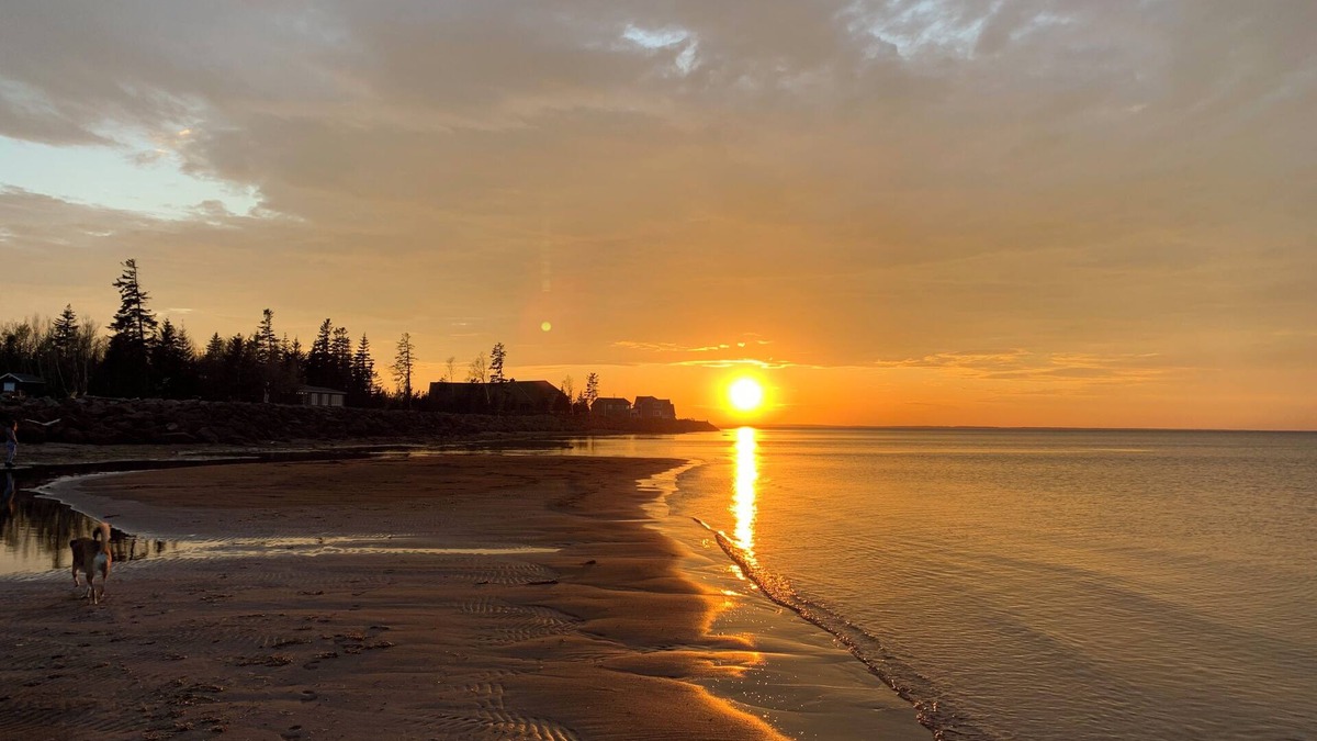 Grand Barachois House | Beachfront Resort Living! Enjoy your own private pool, hot tub, sauna. Sleeps 14