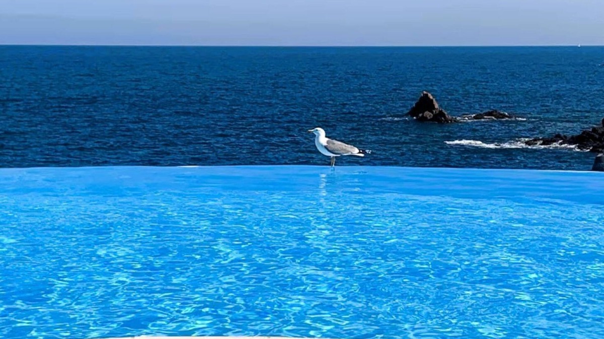 Le Trayas Apartment | Beachfront residence with heated infinity pool