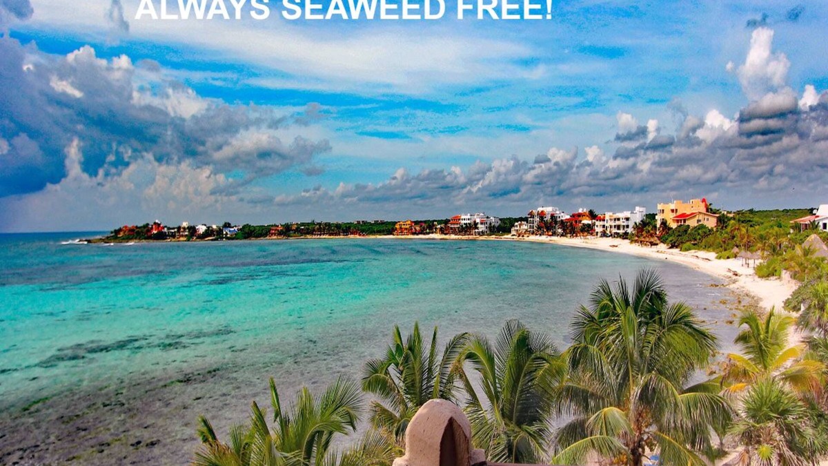 Akumal Condo | Beachfront, Stunning Huge Pool, Great Internet