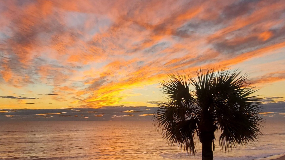Indian Harbour Beach Condo | Beachfront Vacation Rental, Beautiful view from the 2nd story balcony.