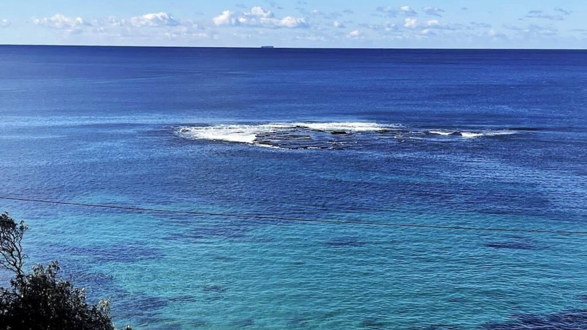 Cronulla Apartment | Beachside Apartment @Blackwoods Beach
