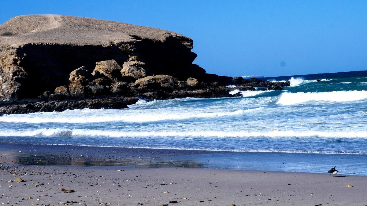 Muscat Villa | Beachside Bliss: Relax in Your Own Lush Tropical Garden Oasis, next to the beach