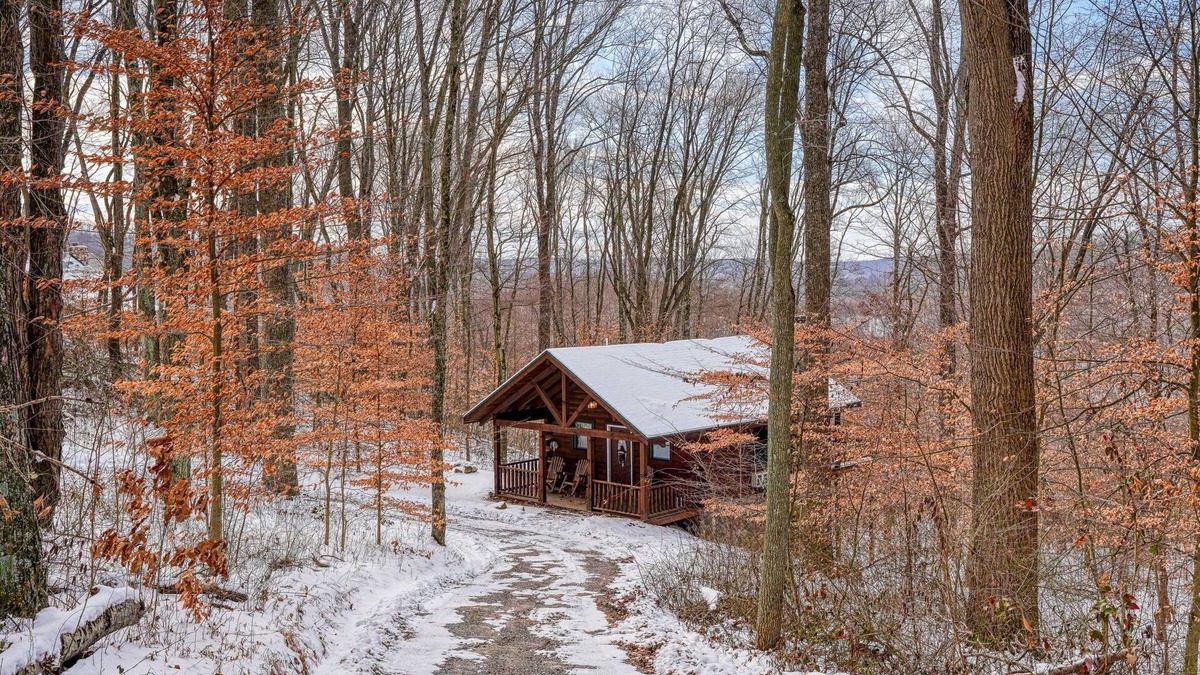 Carbon Hill Cabin | Bear Hugs cabin nestled in the woods.