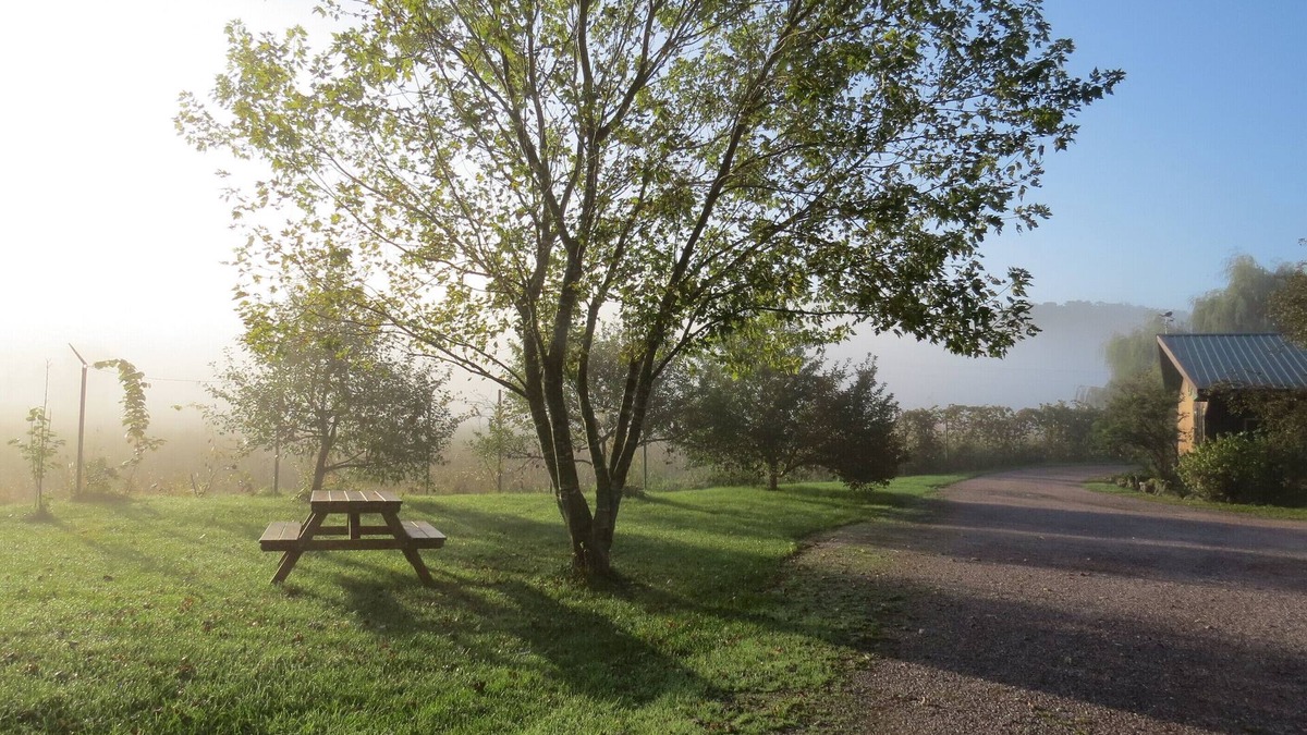 Sextonville Cabin | Bear Valley Outdoor Inn is a Driftless Area Haven