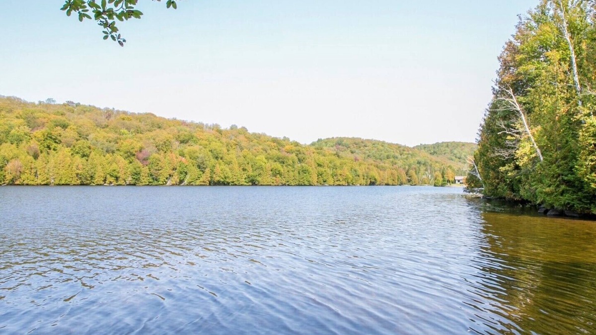 St-Adolphe-d'Howard House | Beautiful cottage for rent with access to the Lac Long (Le Grand Shack)