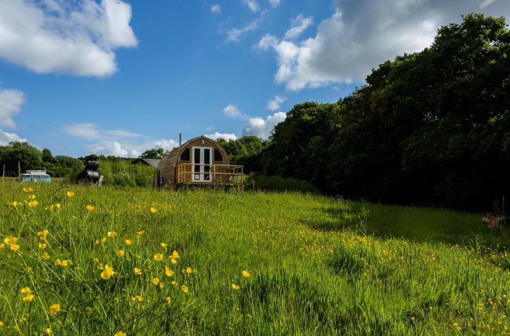 Battle Apartment | Beautiful 1 bed Glamping pod in Battle