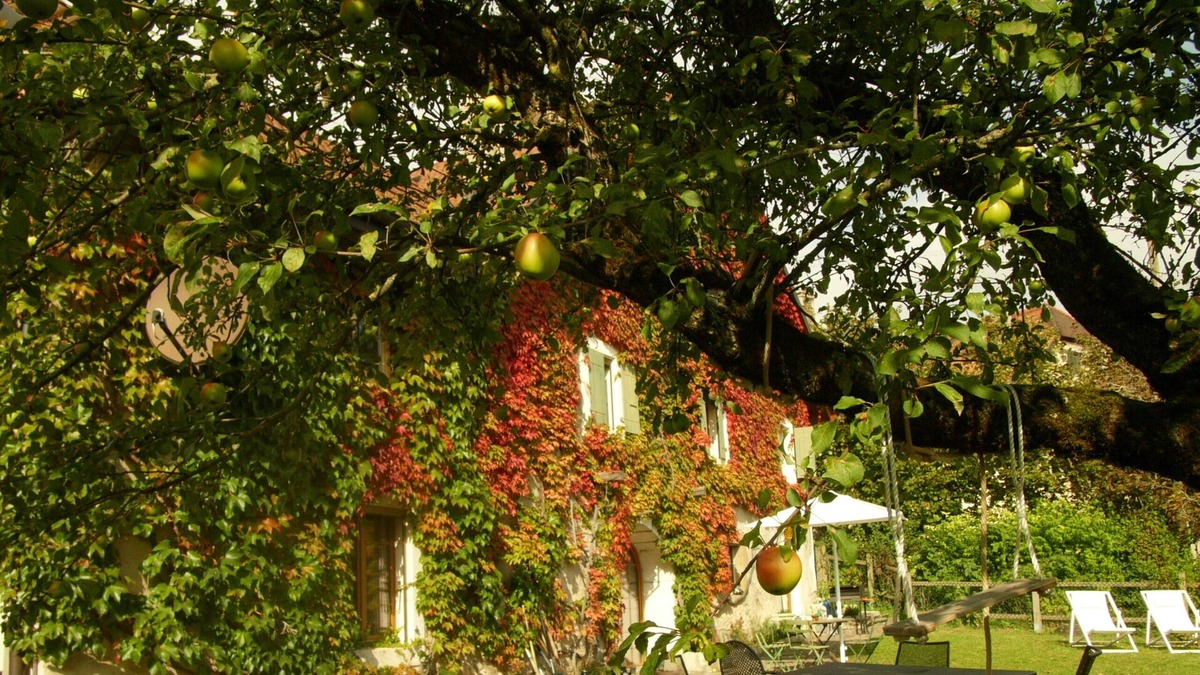 Chavannes-le-Veyron House | Beautiful 17th century house of 240 M2 with a wonderful garden of 2400 m2