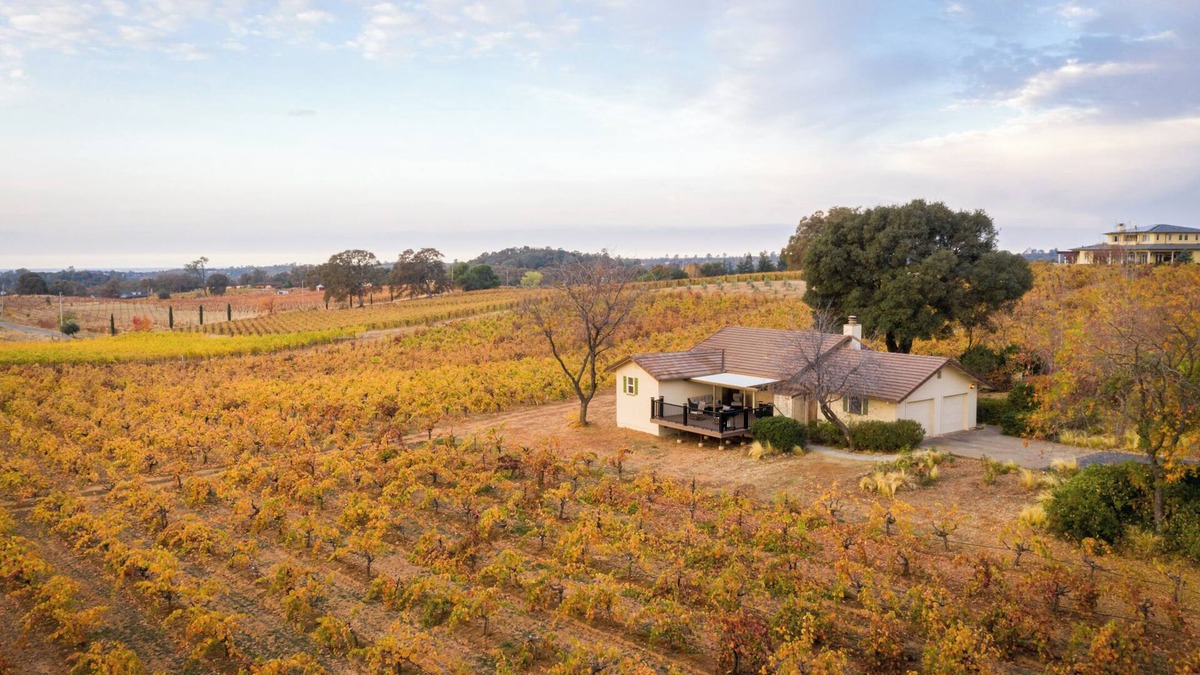Shenandoah Valley Cottage | Beautiful 2 bedroom 2 bath Vineyard house located in a vineyard on 40 acres